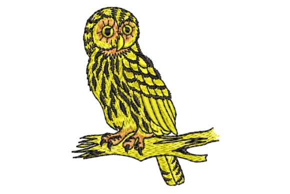 Elegant Owl Embroidery Design