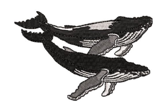 Playful Whale Embroidery Design